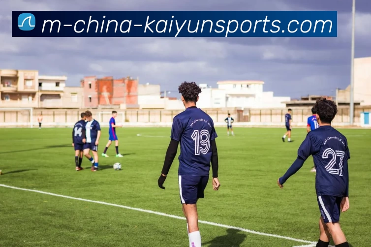 开云平台生态图